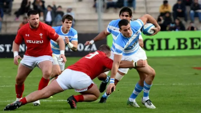 Los Pumas perdieron en una decepcionante actuación frente a Gales