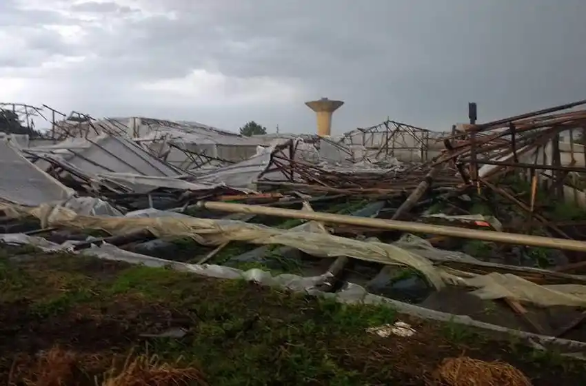Otro golpe a frutihortícolas: "Hay invernáculos que se desintegraron"