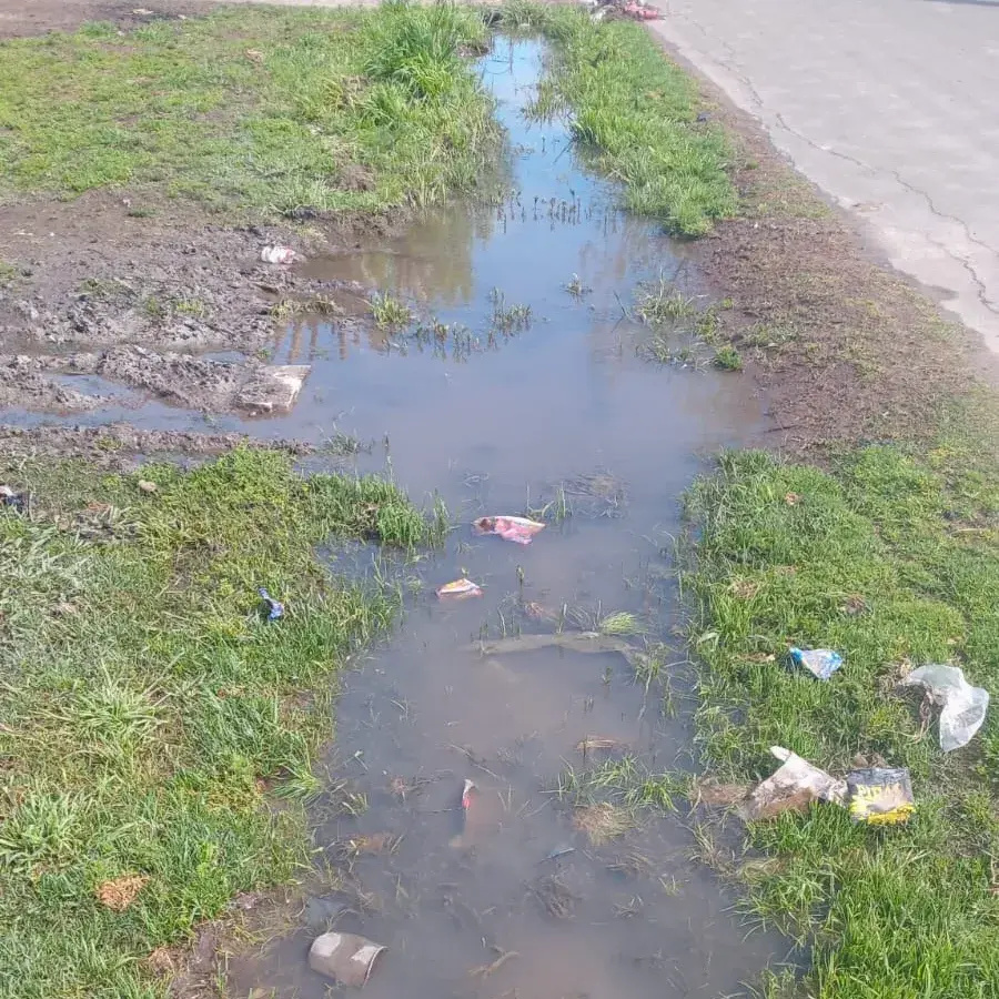 Reclamos por cloacas tapadas en Alvear al 1500