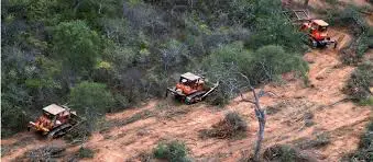 Con la obligación de cuidar los bosques, pulmones de la Tierra