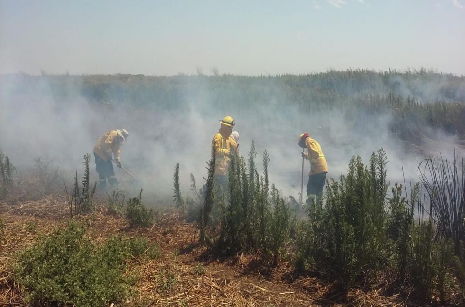 No se registran incendios en el Delta entrerriano