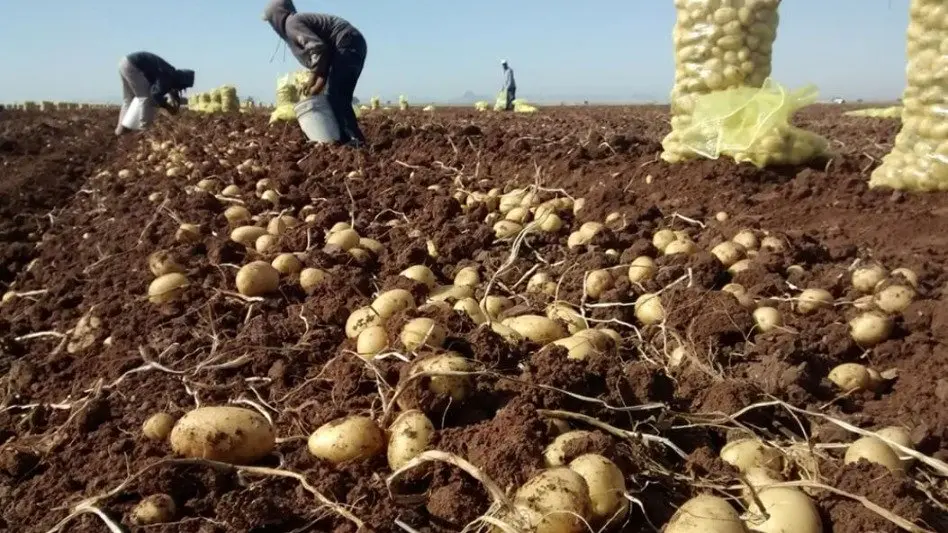 CONINAGRO: "nuestra misión es el compromiso con la producción de comida" 