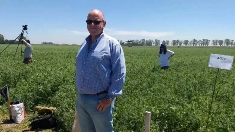 EL ECO CAMPO: La producción de legumbres tiene un alto potencial en la zona, con nuevas variedades