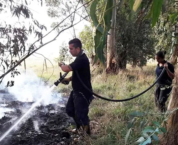 Bomberos combatieron el fuego en un monte cercano a ruta 227