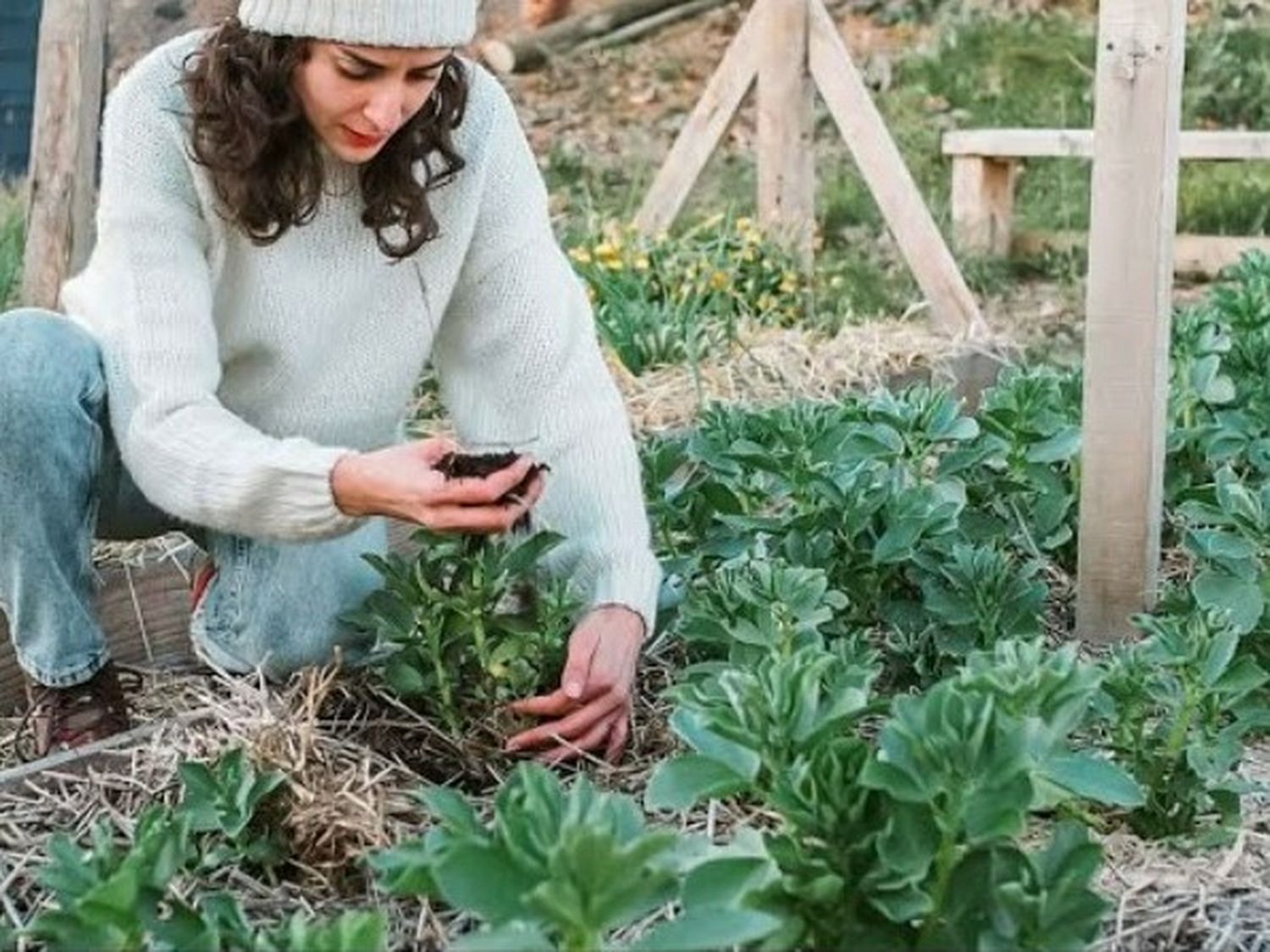 Que el frío no te saque de la huerta: claves para seguir cultivando durante el invierno
