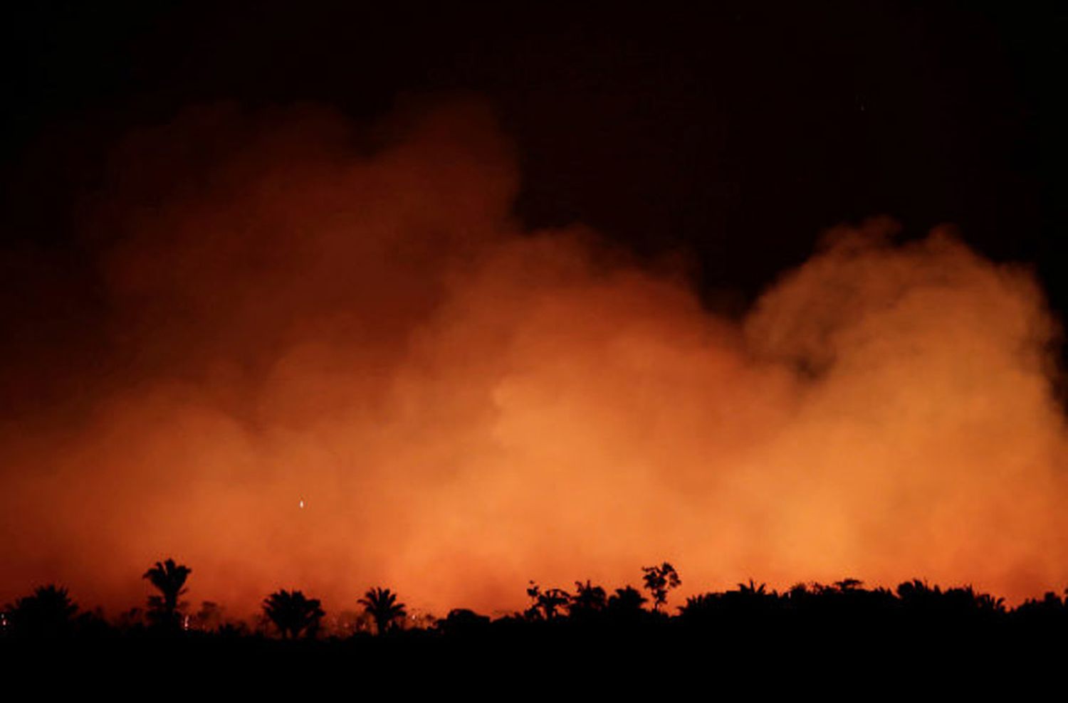 Unos 400 bomberos voluntarios argentinos se ofrecieron para combatir incendios