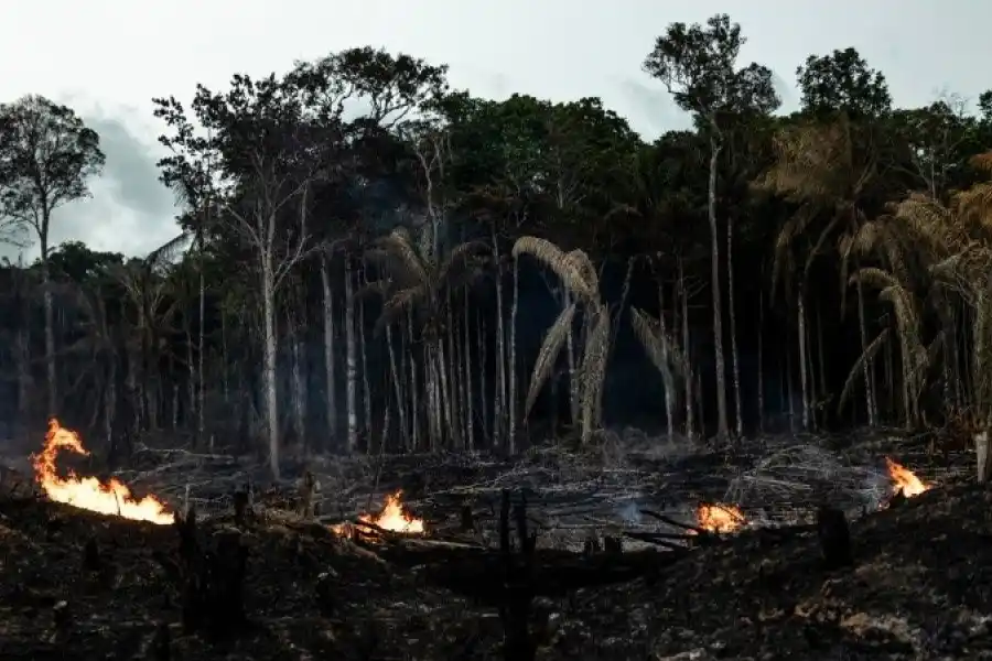 Lula da Silva relanzó un plan para frenar la deforestación en el Amazonas