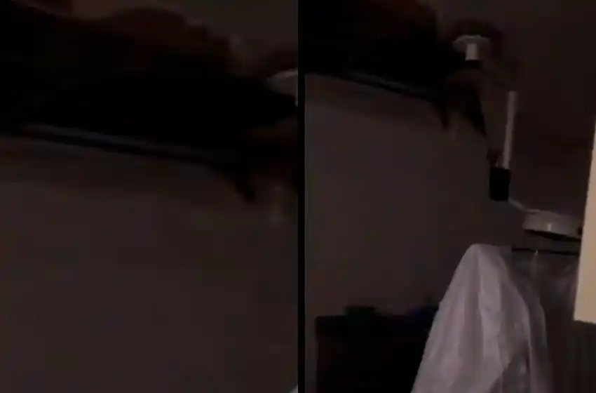 Se desprendió el techo en un quirófano del HIGA: "Es una clara postal de abandono"