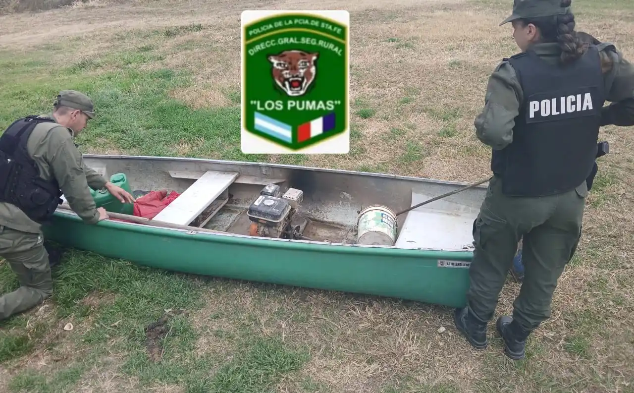 Intentaron faenar una vaca a tiros y escaparon en piragua: intervención de Los Pumas y un detenido