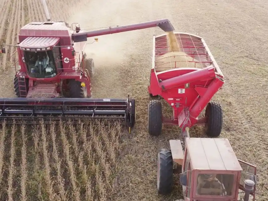 Entre una lluvia y otra, va marchando la trilla de soja y sorgo