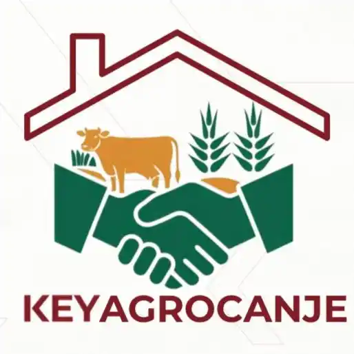 Keyagro Canje: una alternativa para que el productor convierta sus granos en inmuebles