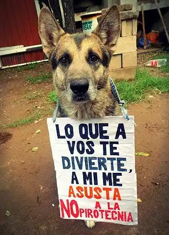 Se masifica el rechazo al uso de pirotecnia en las fiestas 