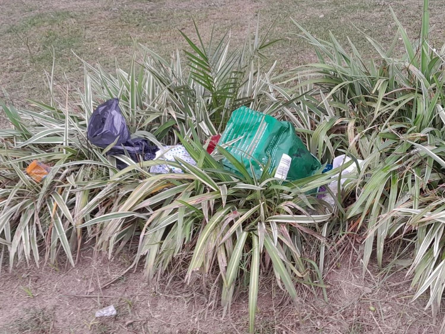 Plaza Constitución: "Jamás estuvo tan abandonada"