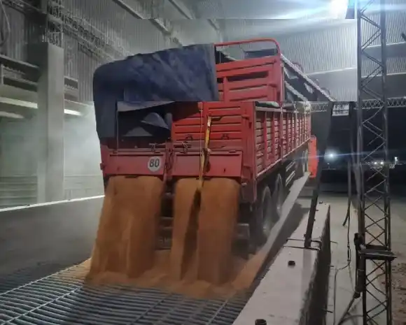 AFIP incautó más de 224 toneladas de granos en diferentes operativos