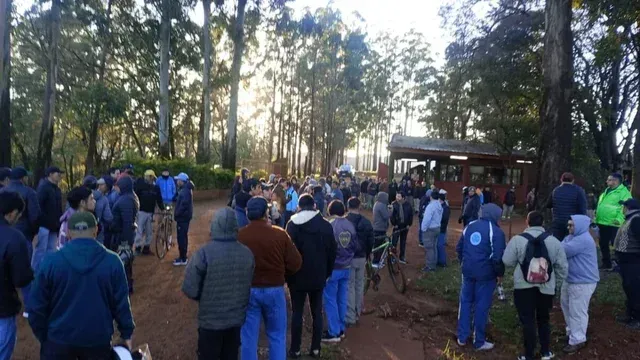 Importante empresa forestadora paralizó su producción y suspendió a 500 obreros