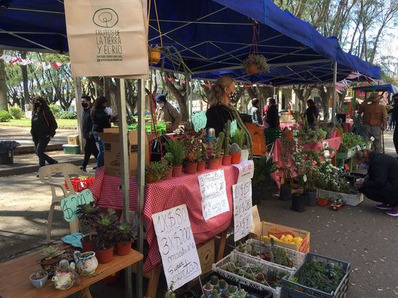 Última feria Frutos de la Tierra y el Río del año