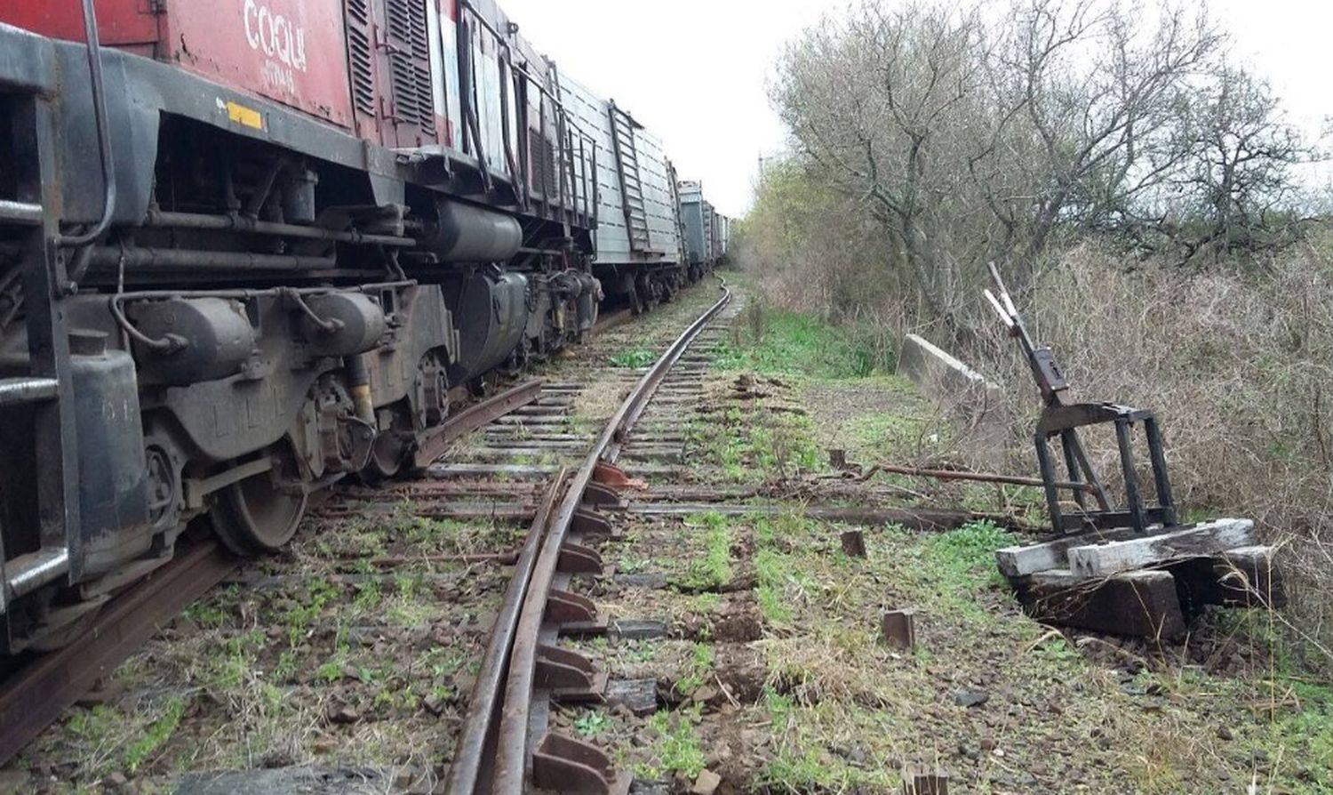 Gualeguaychú debate la reactivación del Ferrocarril General Urquiza en la provincia