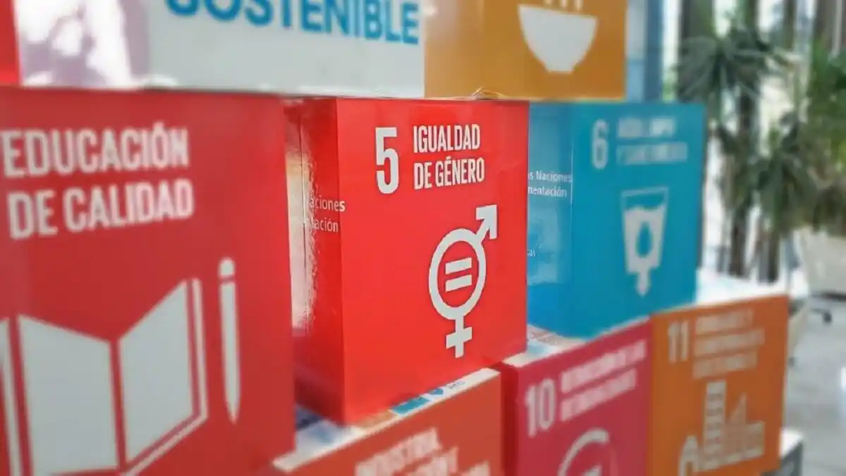 MUNDO MACHISTA: PNUD alerta sobre persistencia de la discriminación contra las mujeres