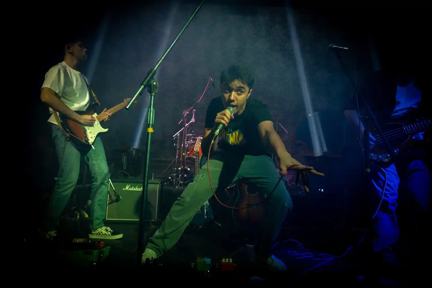 disco zip crazy macayas - 3