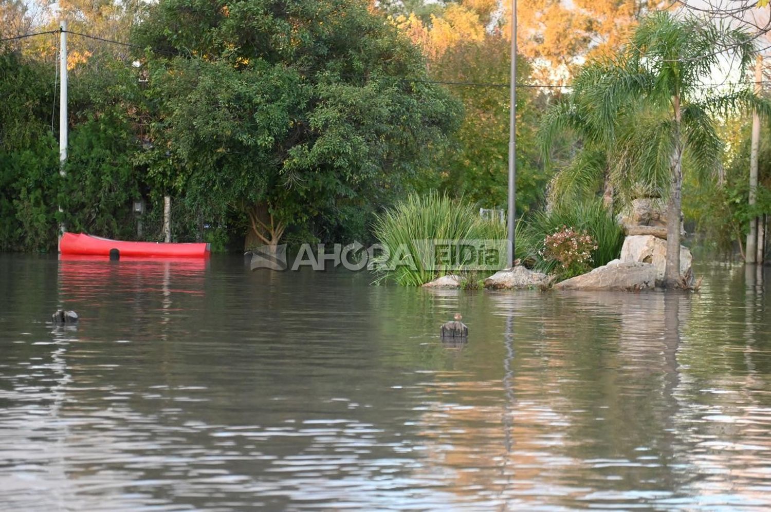 El río estuvo momentáneamente debajo del límite de evacuación, pero volvió a subir: ¿Cuál es su altura?