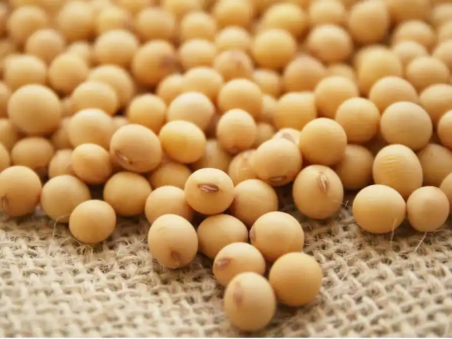 Trigo récord y soja en tensión: el agro argentino gana terreno en el comercio global