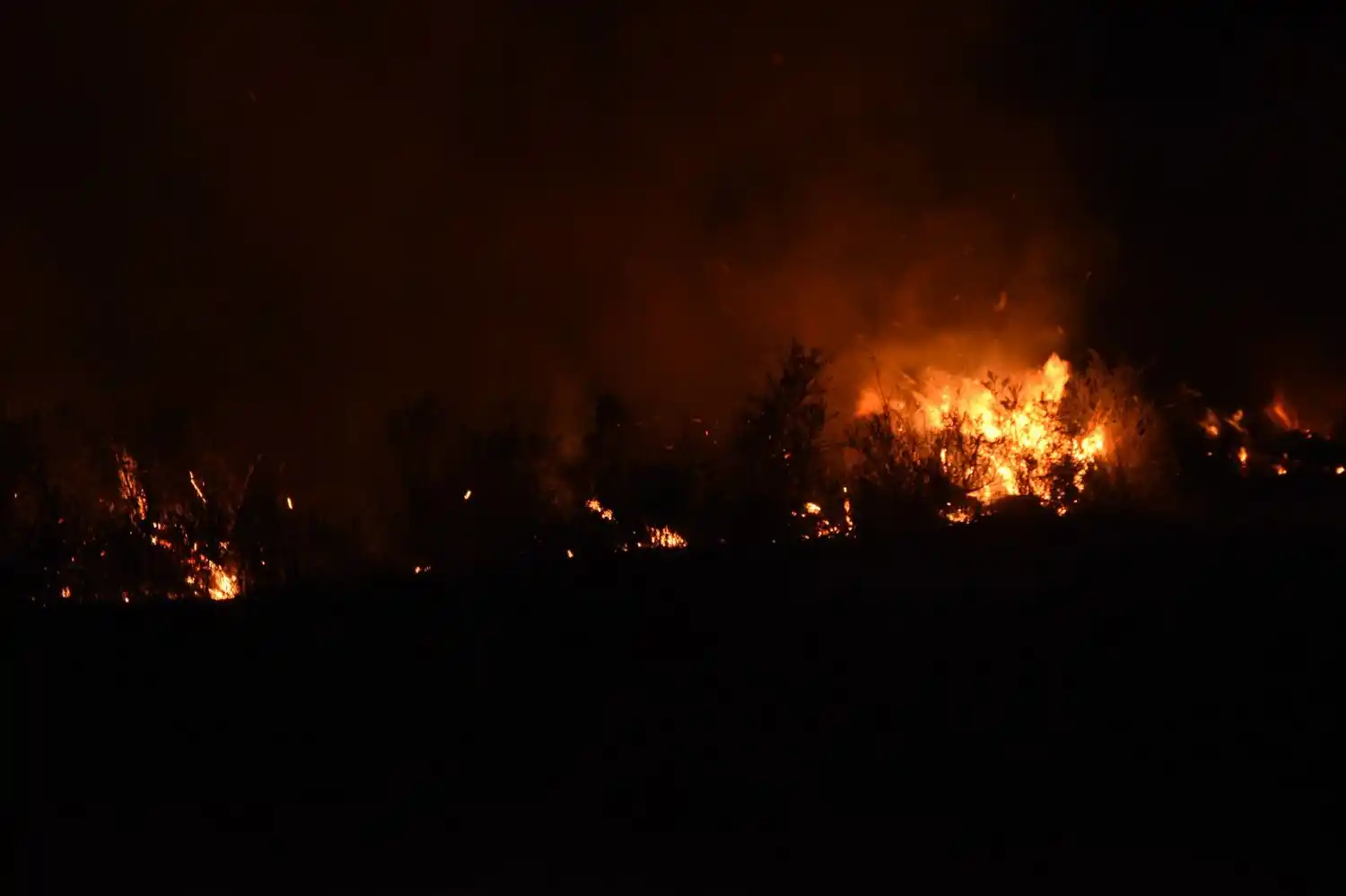 incendio 14 07 24