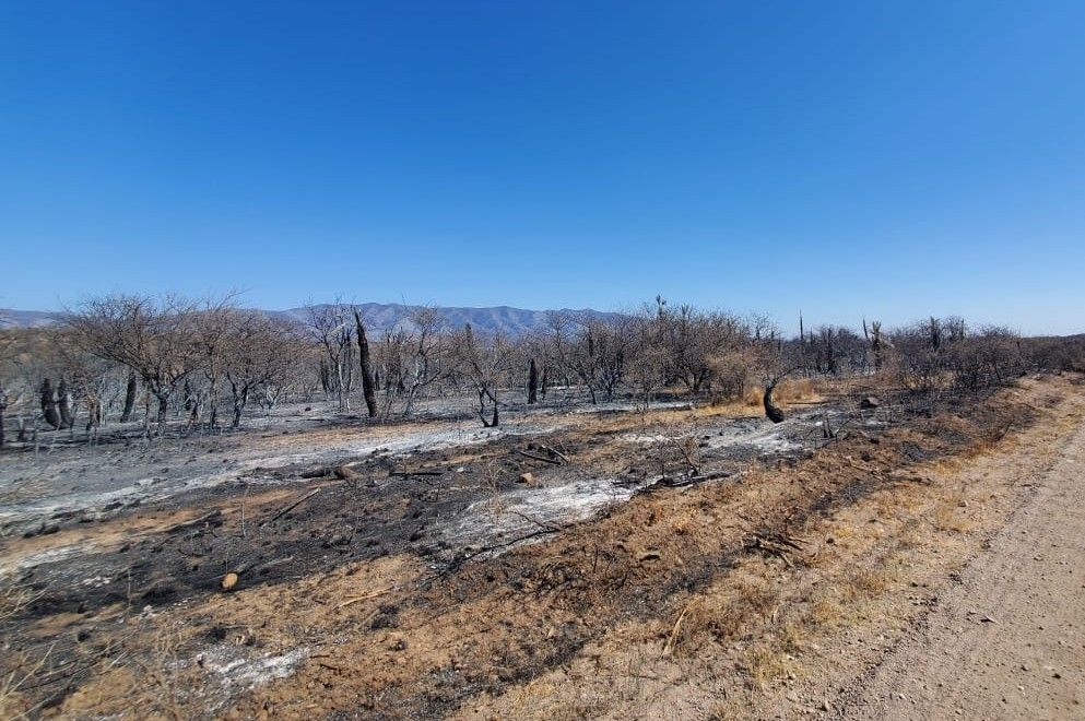 No quedan focos activos en la provincia