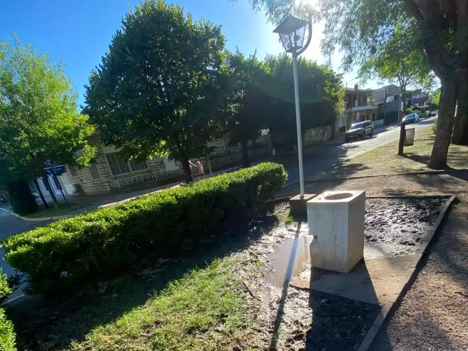 Reclamos por el estado del bebedero de la medialuna: lleno de barro e inundado de agua