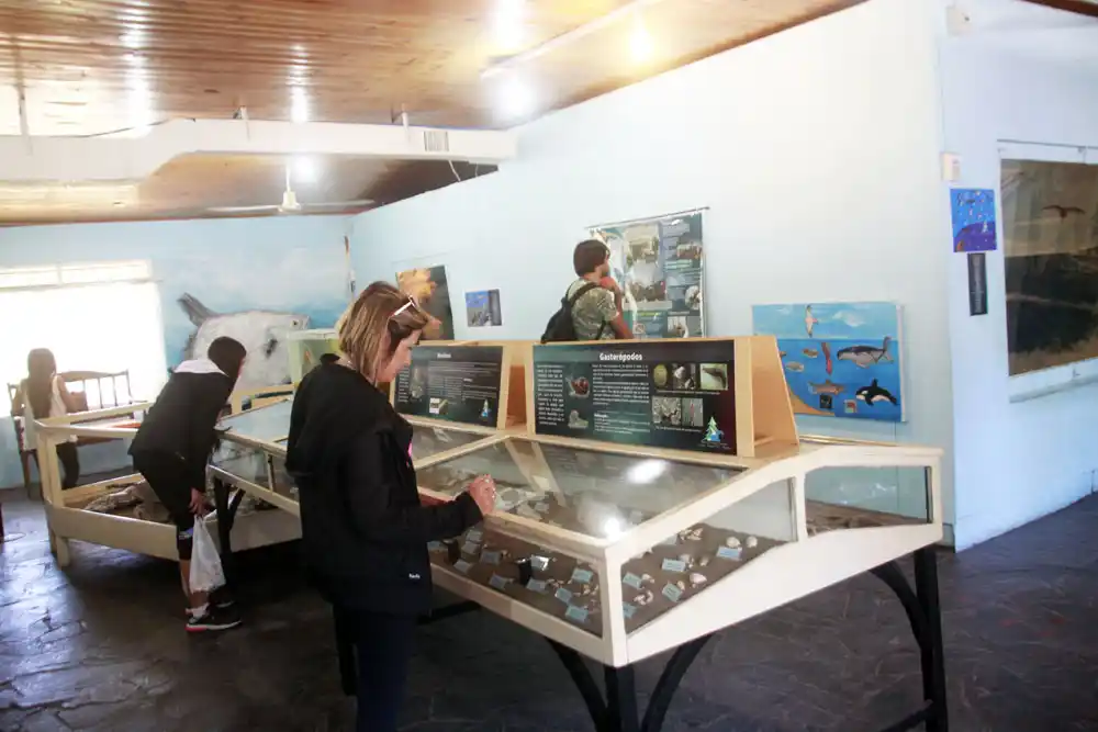 El Museo Histórico estará cerrado en vacaciones por la obra de refacción