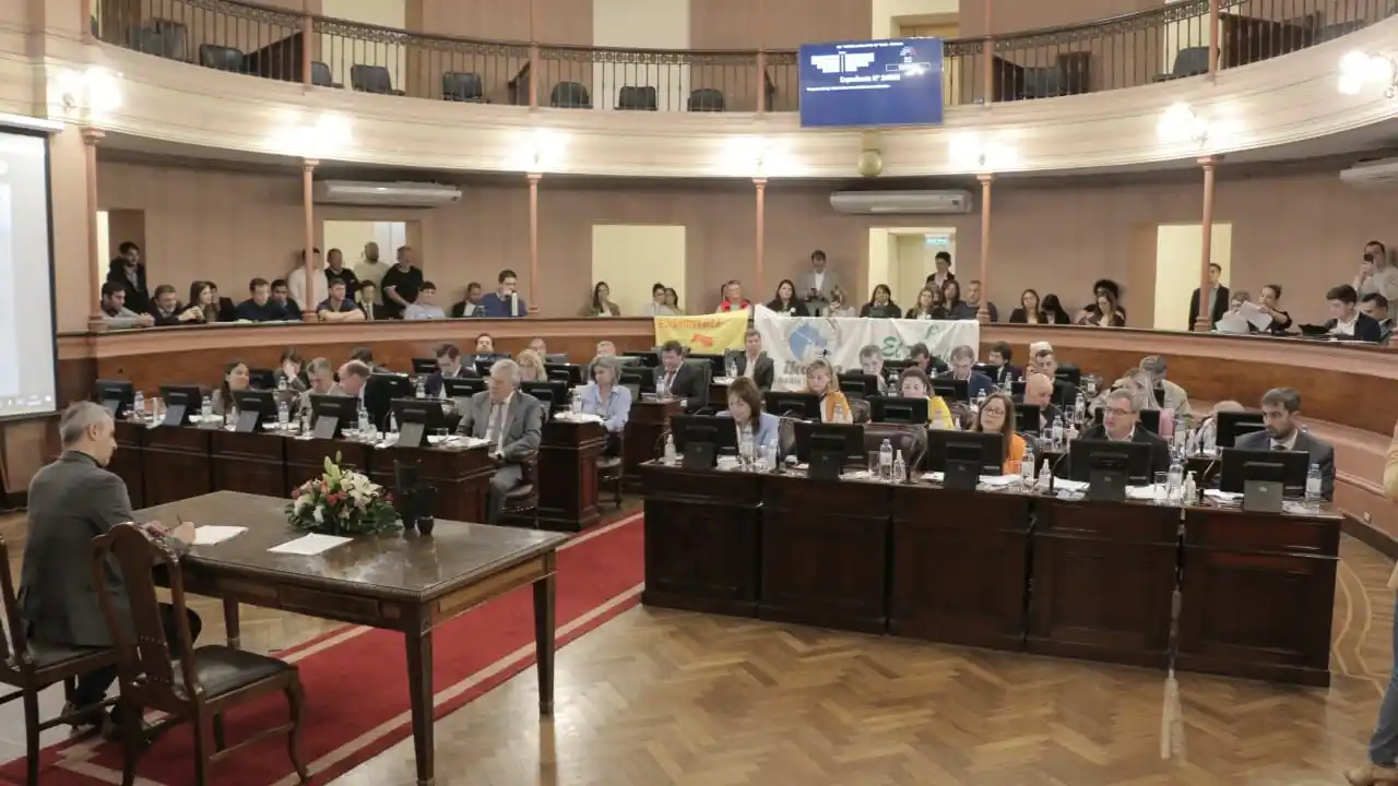 Diputados aprobó un proyecto que regula la equinoterapia y las terapias asistidas con animales