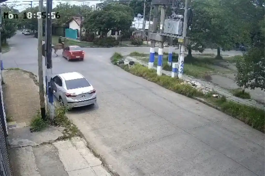 Atropelló a un hombre y huyó