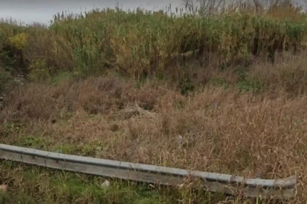 Macabro hallazgo en Libertad: encontraron huesos carbonizados entre pastizales