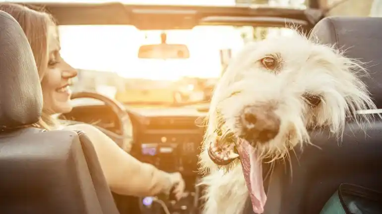 Vacaciones: documentación y elementos obligatorios para viajar