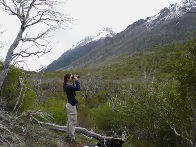 Esperanza verde: argentina unida por la restauración de bosques