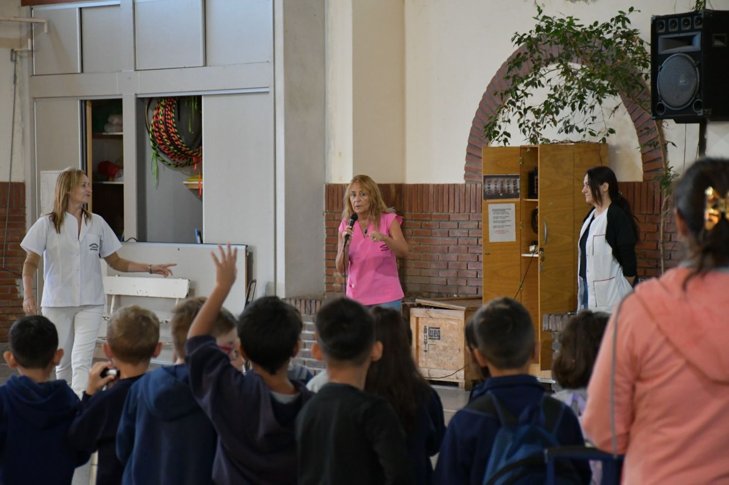 La escuela participa en la prevención del dengue