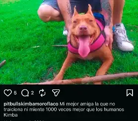 mil veces