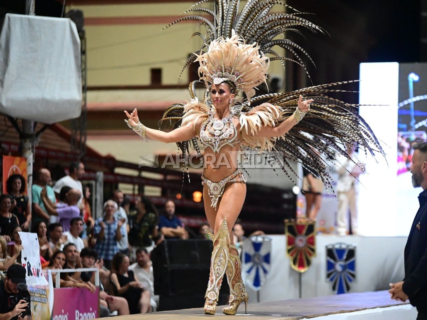 Tras ser reconocida como reina del Carnaval 2025, Felicita Fouce habló en las redes: "Estoy enojada, dolida y amargada"