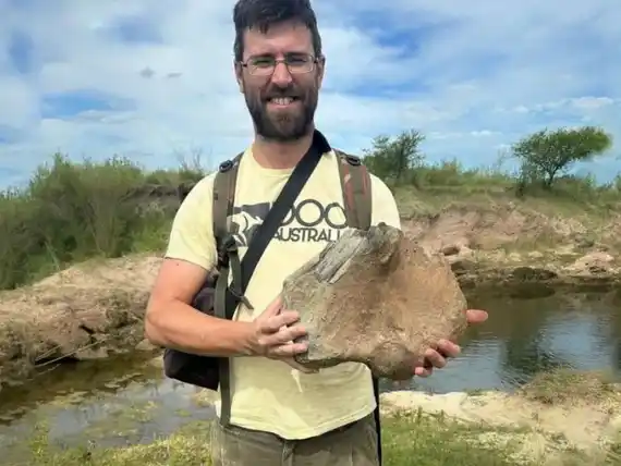 Hallaron restos fósiles de megafauna en el arroyo Las Piedras
