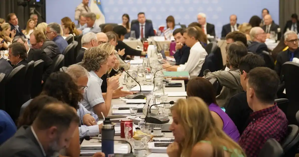 Oficializaron la prórroga de sesiones extraordinarias para debatir la ley "Bases"