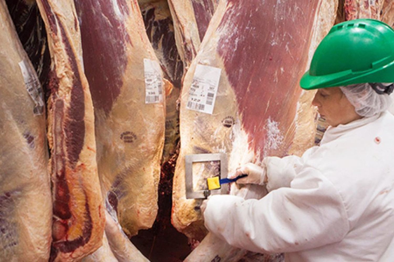 Las exportaciones de carne están en niveles máximos desde 2009