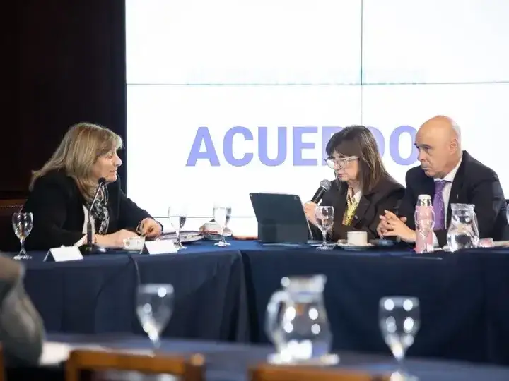 Patricia Bullrich planteó su posición en la Comisión de Acuerdos del Senado.