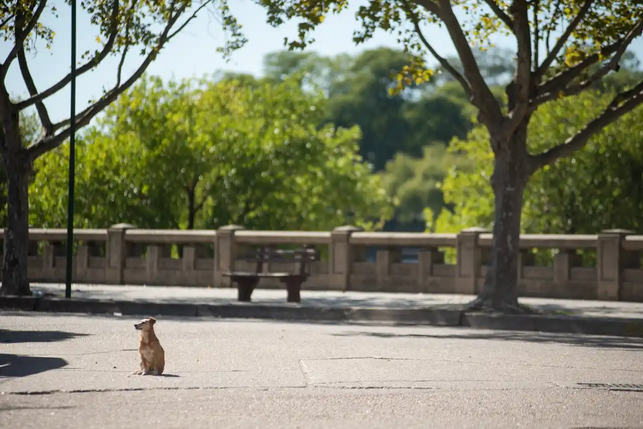 Gualeguaychú adhirió a la Red Argentina de Municipios frente al Cambio Climático