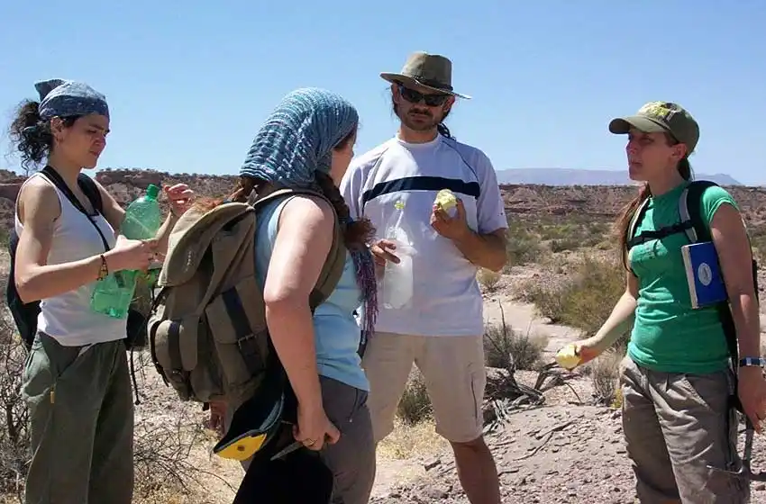 Hallaron restos de un reptil de tres metros de longitud en La Rioja