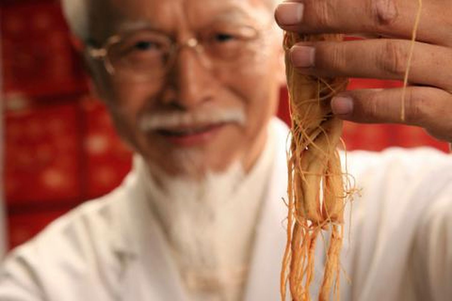 El Árbol de la Vida «Ginseng»: fuente de energía y vitalidad