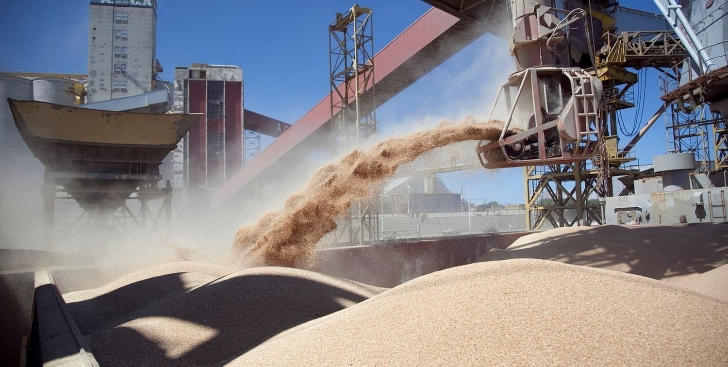 En la Argentina, el 30% de los dólares que ingresan por exportaciones proviene del complejo agro.