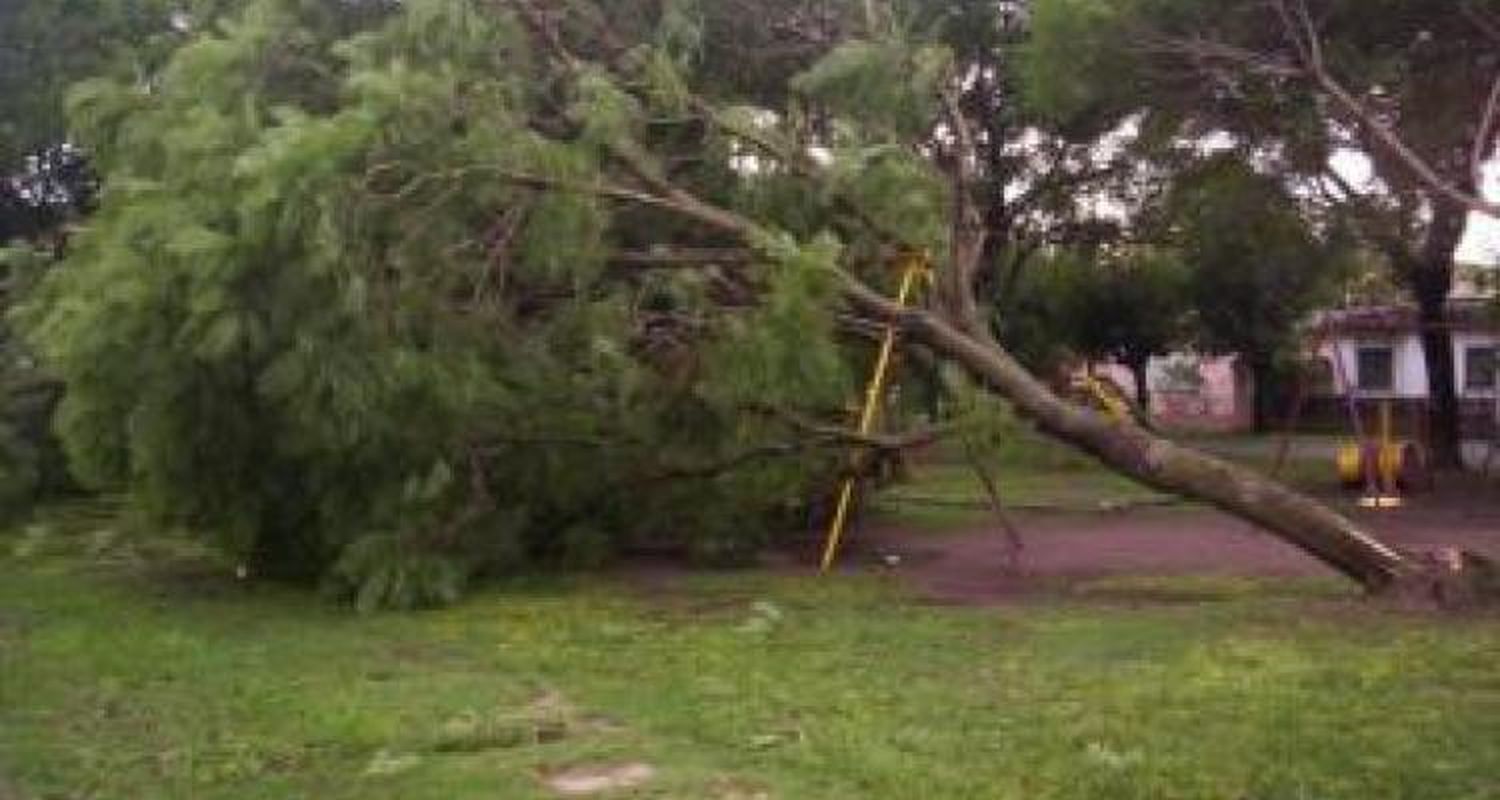 San Pedro se recupera de la tormenta del lunes