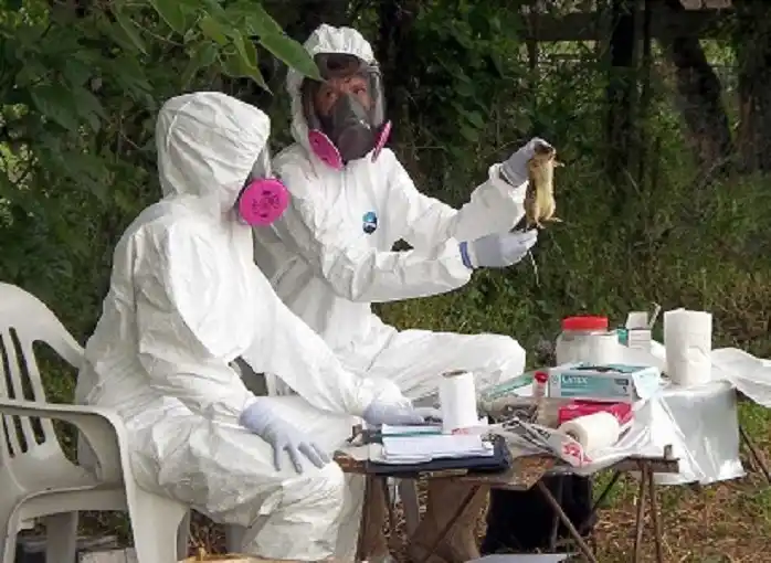 Se confirmó el primer caso autóctono de Hantavirus en Gualeguaychú