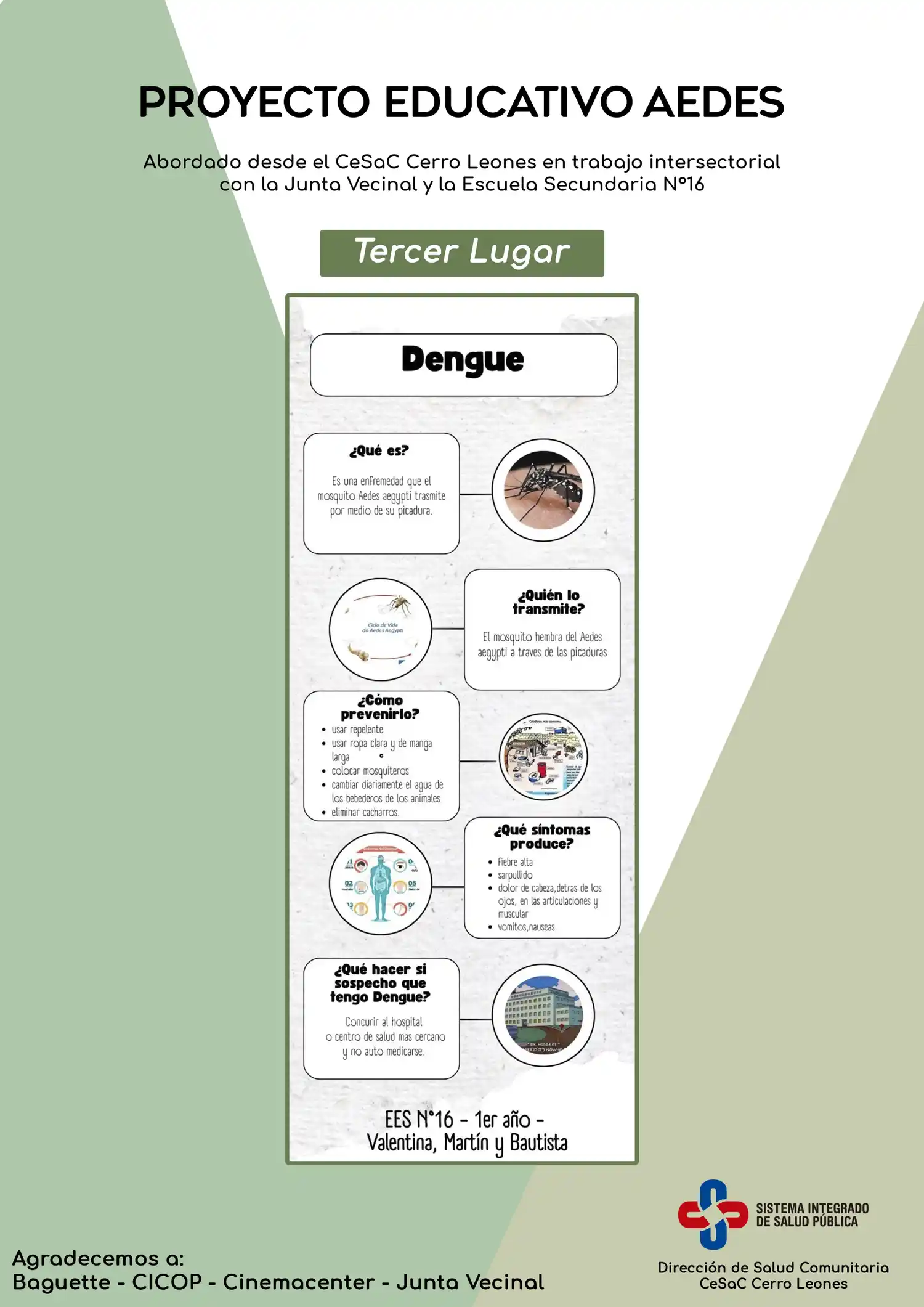 proyecto aedes cerro leones - 2