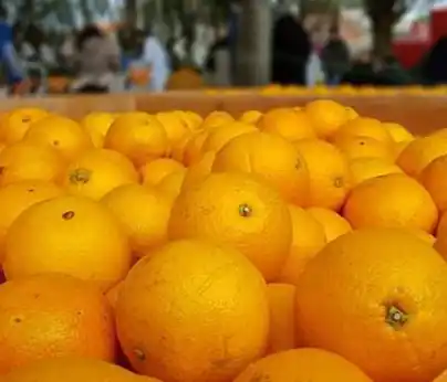 naranjas