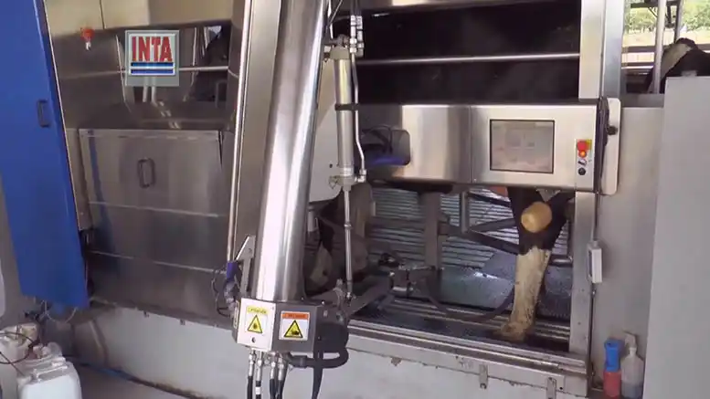 Tambo robot: no es para cualquiera, pero está al alcance de todos